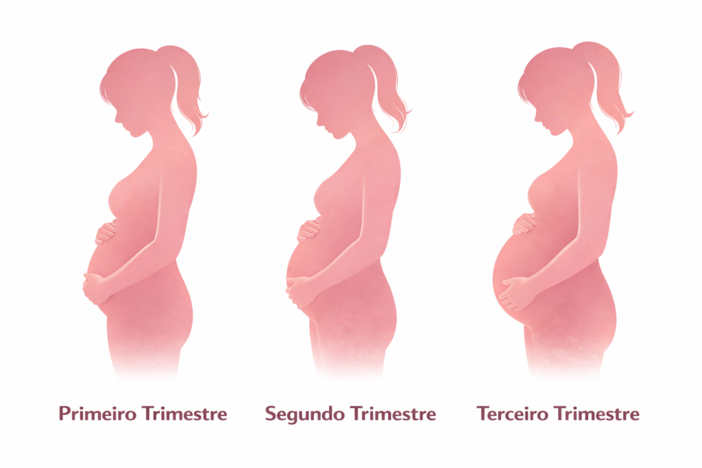 Evolução da barriga nas semanas de gravidez do primeiro ao terceiro trimestre